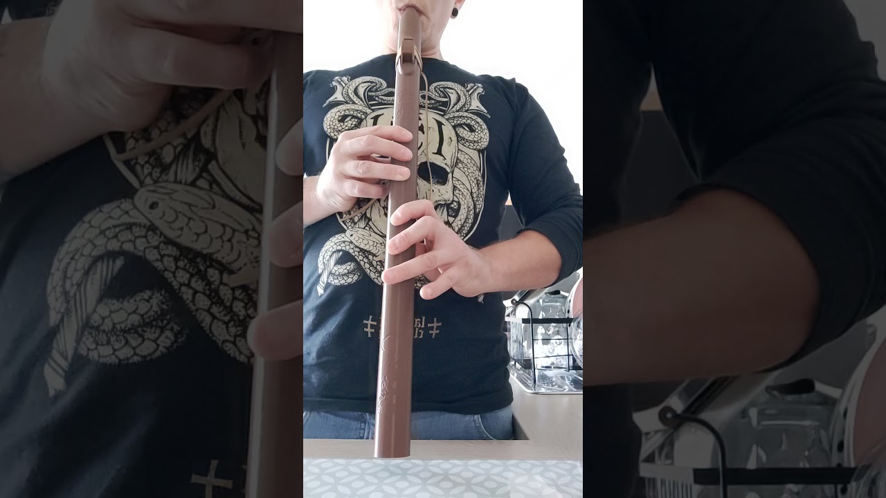 Sound Sample of 3D printed Native American style flute in key Low D..made by Reza of pyntech Flutes