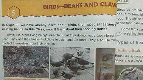 DAV Nahan Class-IV Science, Lesson-5, Part-1