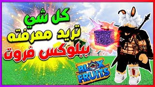 بلوكس فروت أشياء مهمة ببلوكس فروت لازم تعرفها👍 روبلوكس  Roblox Blox Fruits