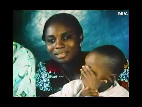 The Doctors of Nigeria (1981)