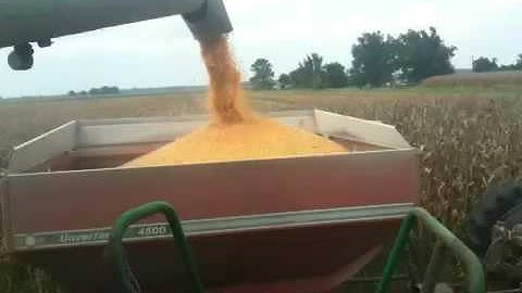 Unloading corn into the grain cart