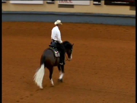 SPOOKS GOTTA GUN, NRHA DERBY 2008 rider Andrea Fap...