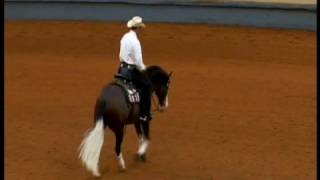 SPOOKS GOTTA GUN, NRHA DERBY 2008 rider Andrea Fappani