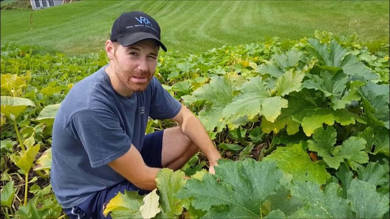 Sofi Marso jinsiy aloqa video