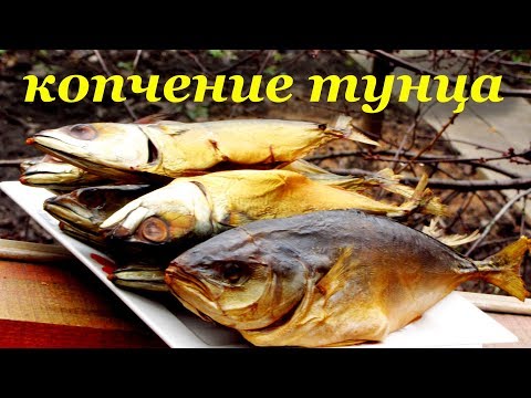 Видео рецепт Тунец копченый