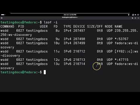 Linux lsof command