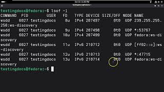 Linux lsof command