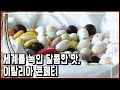 이탈리아 귀족들이 즐겨먹던 설탕과자, '콘페티' 원조 명가 (KBS_2011.09.07 방송)