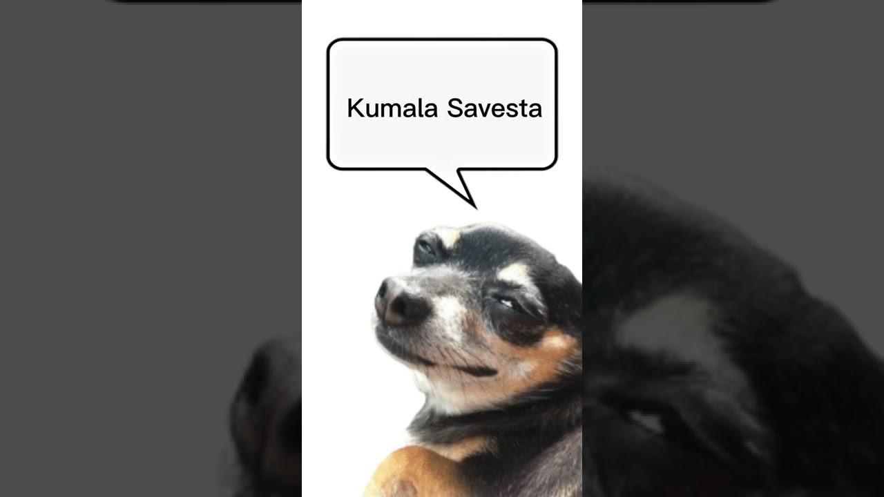 What is the origin of the Kumala Savesta meme? (subtitles in english) 