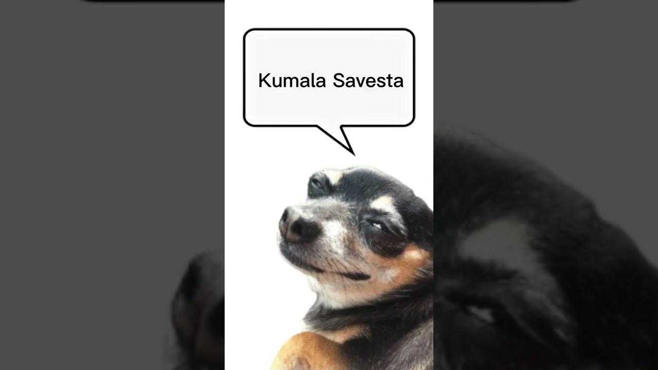 KUMALALA SAVESTA #fyp #viral #memes