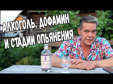 Занимательный алкоголизм. Алкоголь, дофамин  и стадии опьянения.