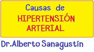 ¿Cuáles son las 5 causas de la hipertensión arterial?