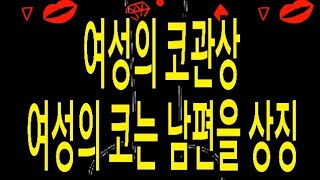 여성의 코관상 여성의 코는 남편을 상징한다.