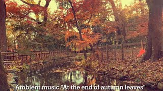 Ambient music “At the end of autumn leaves" / sdkc instruments（定吉楽器） Helical