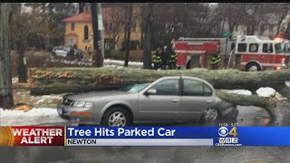 Wind And Raise Cause Damage Around The Region