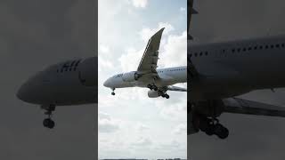 How Airplane Flaps Work ✈️ | How Planes Slow Down Before Landing!#shorts #airplane #trending #diy