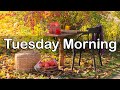 Tuesday Morning Jazz - Positive Jazz &amp; Bossa Nova Music to Chill Out