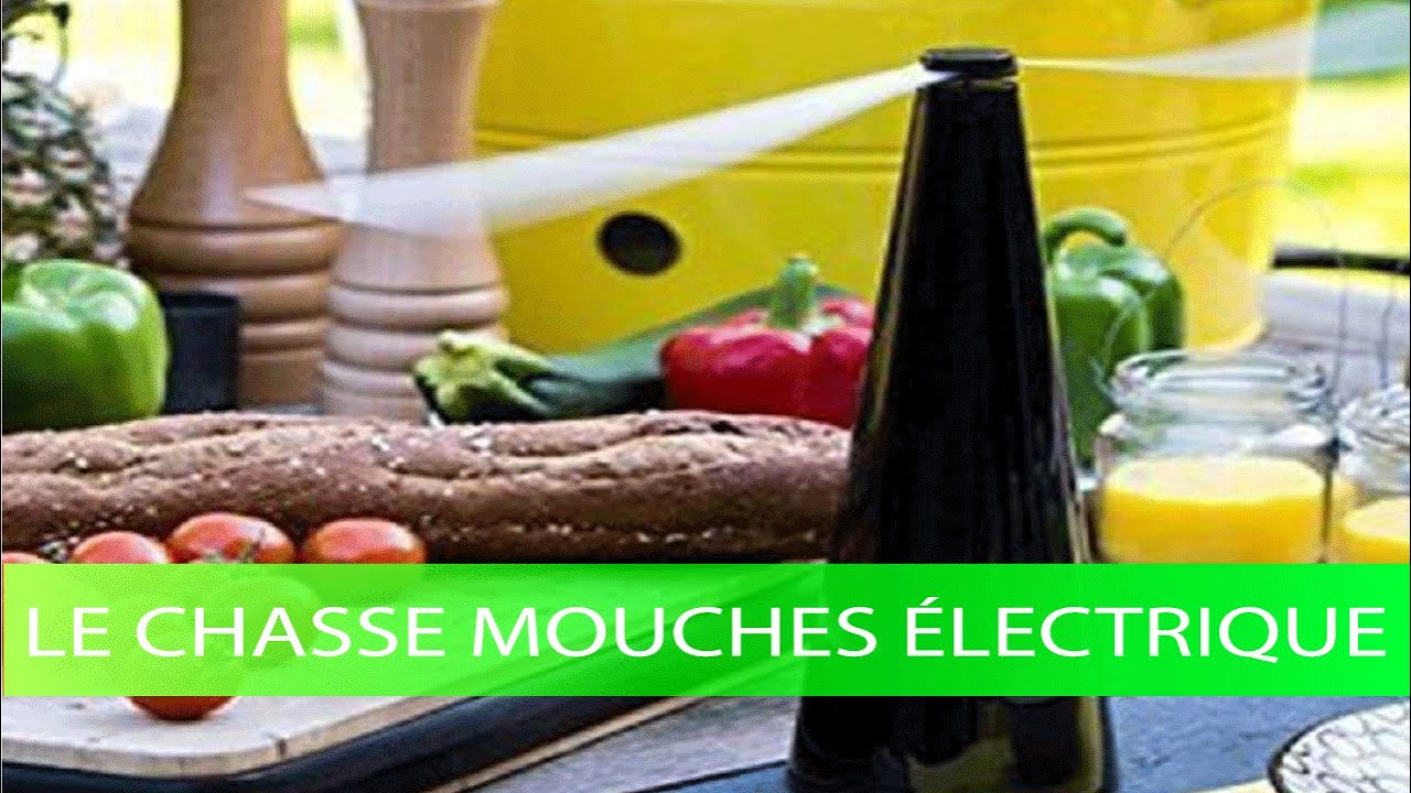chasse aux mouches