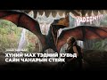 ХҮНИЙ МАХ ТЭДНИЙ ХУВЬД САЙН ЧАНАРЫН СТЕЙК 