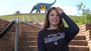 2019 Scholarship Video