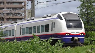 特急しらゆき6号上越妙高行き【4K】E653系H203編成56M