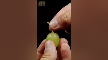 grape stalk extraction closeup #asmr #closeup #macro #fruit