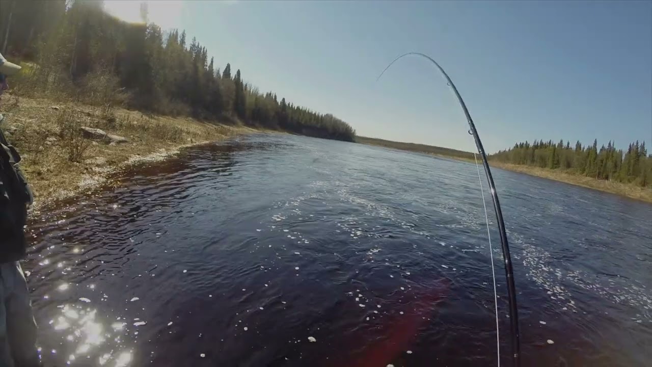 Take 21 Conversation Killer Jannaways Varzuga River Russia 29 May 2014
