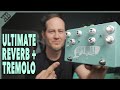 All analog reverb and tremolo masterpiece  crazy tube circuits white whale v2  gear corner