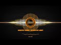 Vortex Vibes - Speed Of Light