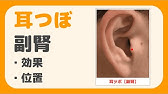 ツボ 膻中 だんちゅう の場所 Youtube ツボ 膻中 だんちゅう の場所 Youtube