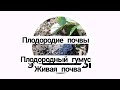 САМАЯ плодородная почва живая Плодородие живой почвы Как создать Вермизакваска триходерма биогумус