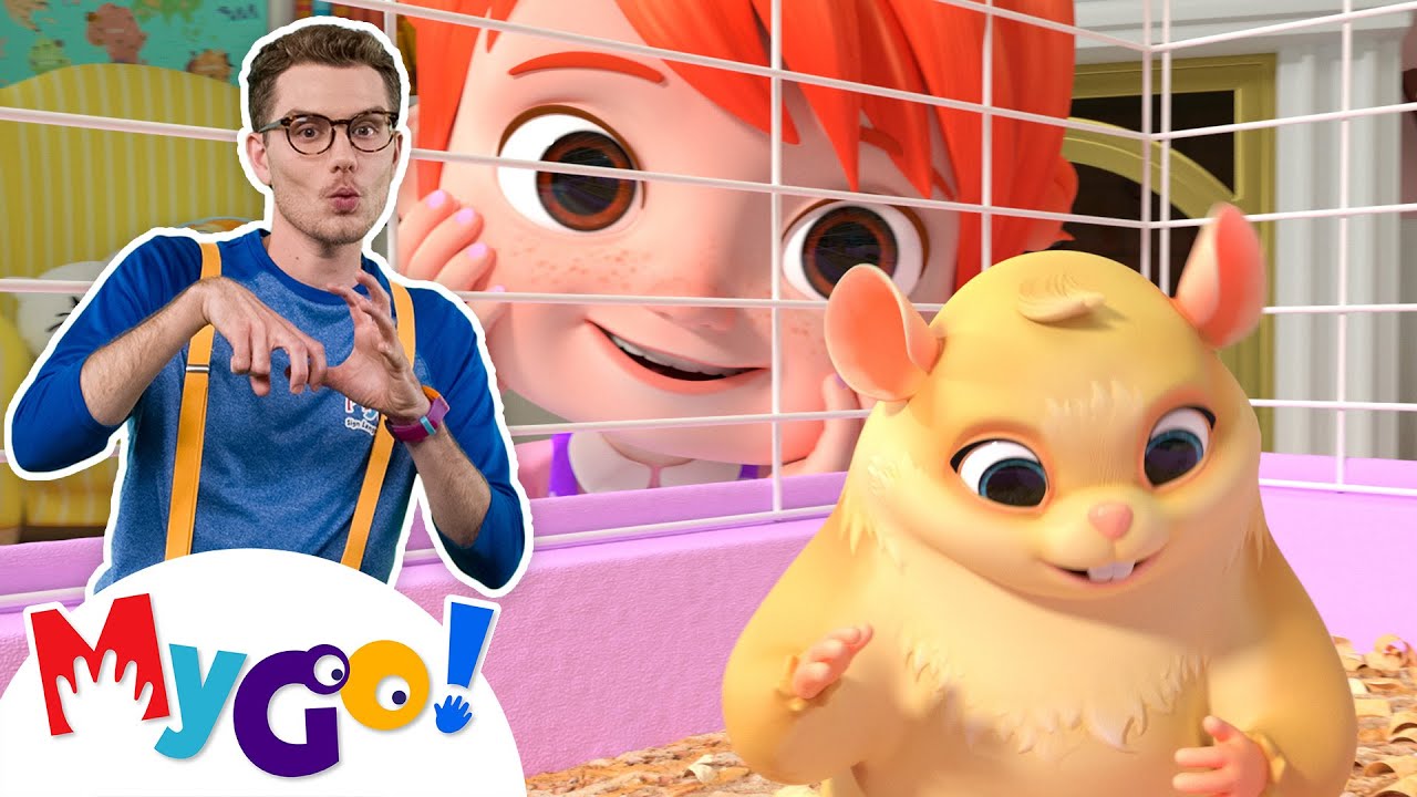 Pet Sleepover 🐹 Nursery Rhymes Kids Song Compilation