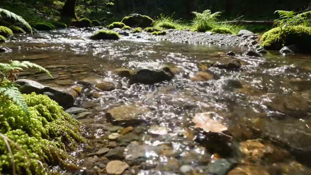 Relaxing River Sounds and Birds Chirping | Nature Ambience for Sleep, Focus, and Productivity