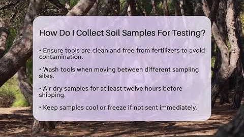 How Do I Collect Soil Samples For Testing? - The Plant Enthusiast
