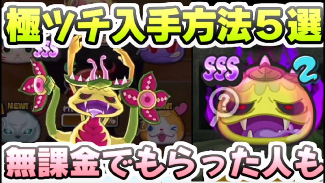 ぷにぷに 極ツチノコを無料で入手する方法！無課金でも持ってる人はここで入手してる！　妖怪ウォッチぷにぷに　レイ太