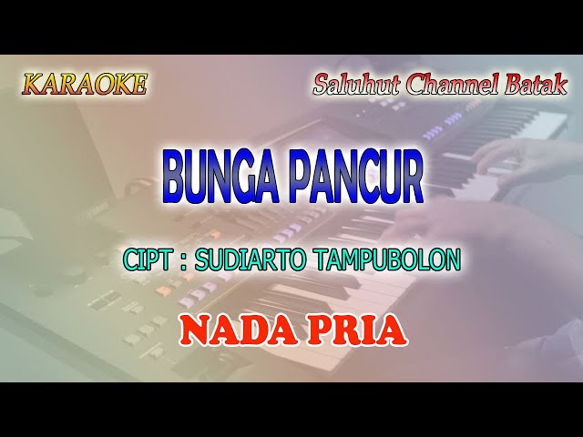 BUNGA PANCUR ll KARAOKE BATAK ll MARSADA BAND ll NADA PRIA G=DO class=