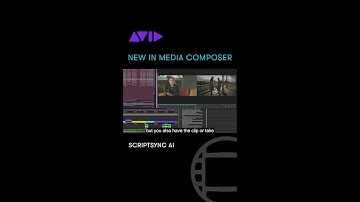 Save time with ScripSync AI to create transcriptions from clips