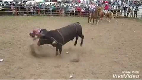 Cirilo Rodrigues vs ngel negro de rancho la Santsi...