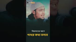 পাথর বলবে আমার পেছনে ইহুদি লুকিয়ে আছে আবু_ত্বহা_মুহাম্মদ_আদনান Shorts