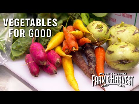 Video: Sodo daržovių dovanojimas – idėjos, kaip panaudoti perteklines daržovių kultūras