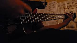 waiting for my clothes to dry 😪 #bassguitar #strumming