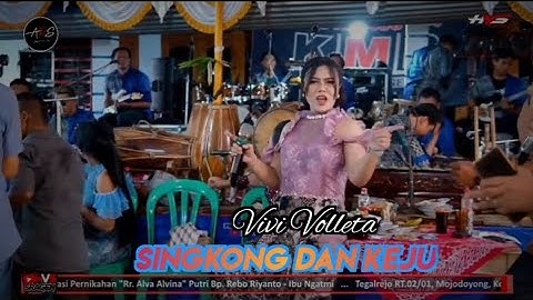 SINGKONG DAN KEJU // Vivi Volleta // KMB Gedrug // Ars Jilid 4 // Hvs Sragen