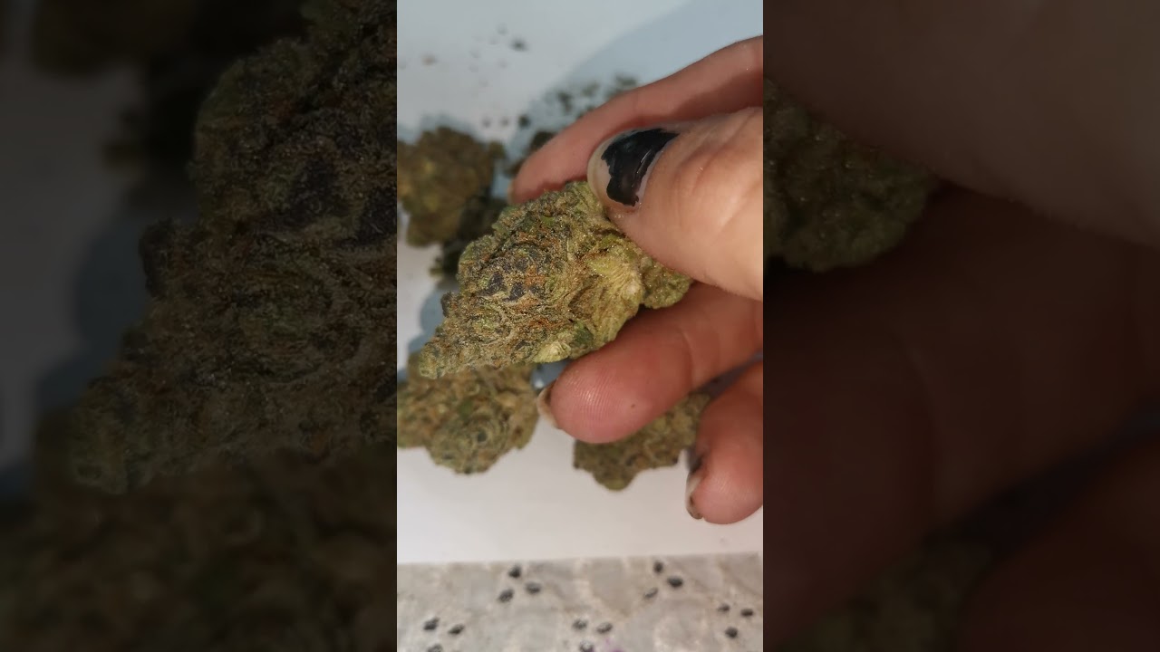 27% FARM GAS - Weed Review - Legal Cannabis Prescription Flower 1st Look