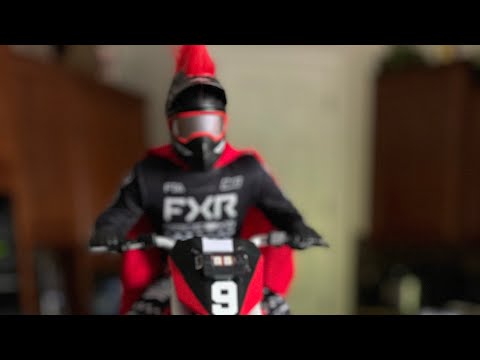 CUSTOMIZED LOSI PROMOTO-MX