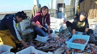 Finalizan la vuelta al mundo en Pescaturismo