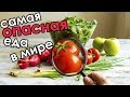 Мед и картофель могут вас убить?! Самая опасная еда | Повседневная еда, которая может вас убить