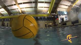 Northwestern Trojans "Water Polo" Team