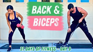 Back and Biceps Workout  Pull Workout