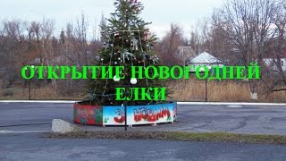 Беловодск. Новогодняя елка