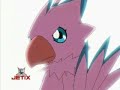 ‧₊ ˚ ⊹ ࣭ ⭑ . ₊ ⊹ .₊๋ teamwork: a biyomon amv ‧₊ ˚ ⊹ ࣭ ⭑ . ₊ ⊹ .₊๋